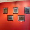 Barbara Gamble at Sivarulrasa Gallery