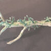 Jenny McMaster - Birch Branch