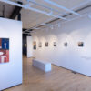 Elizabeth Desrosier at Sivarulrasa Gallery