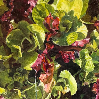 Karen Haines