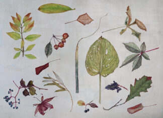 Cathy Ross at Sivarulrasa Gallery