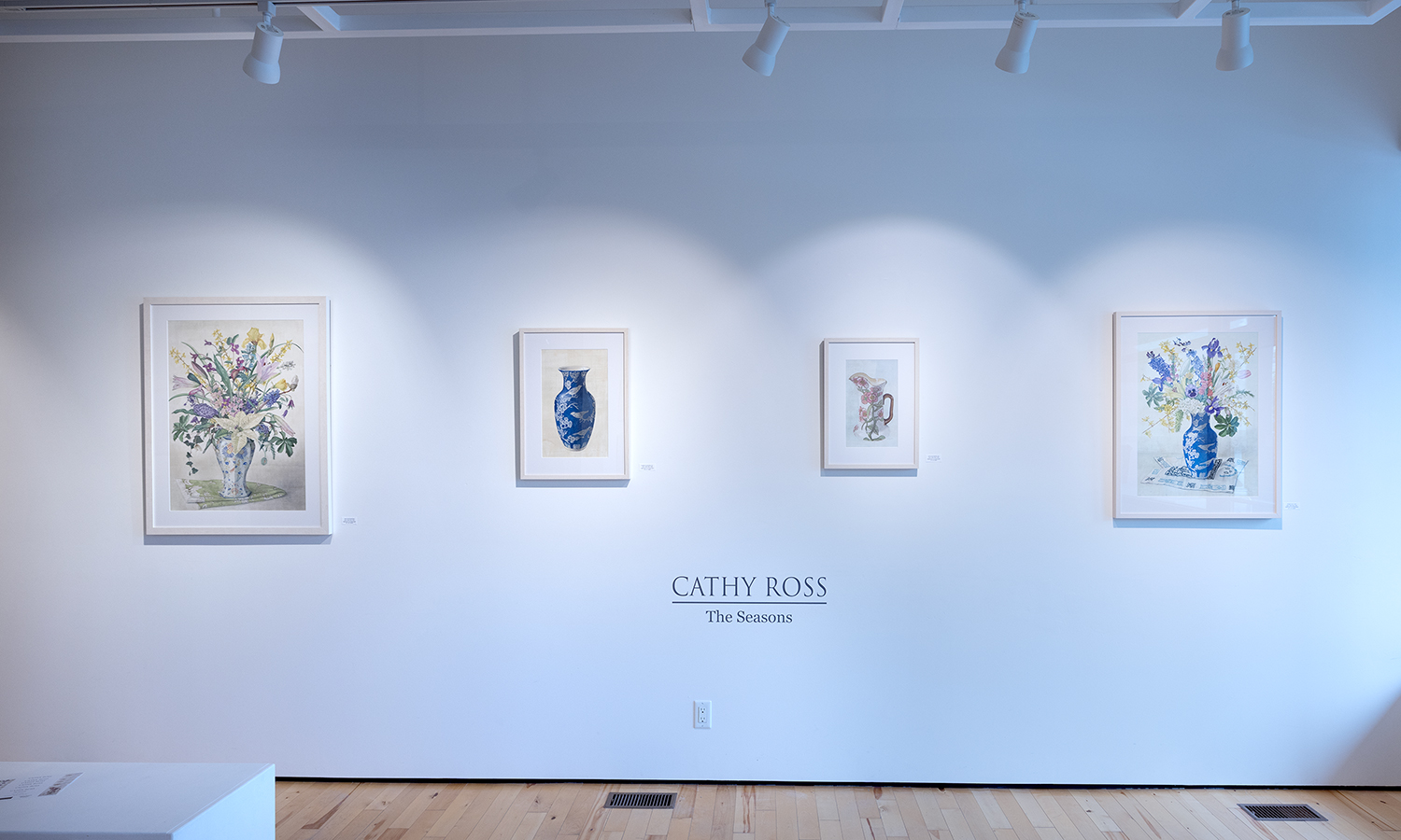 Cathy Ross at Sivarulrasa Gallery