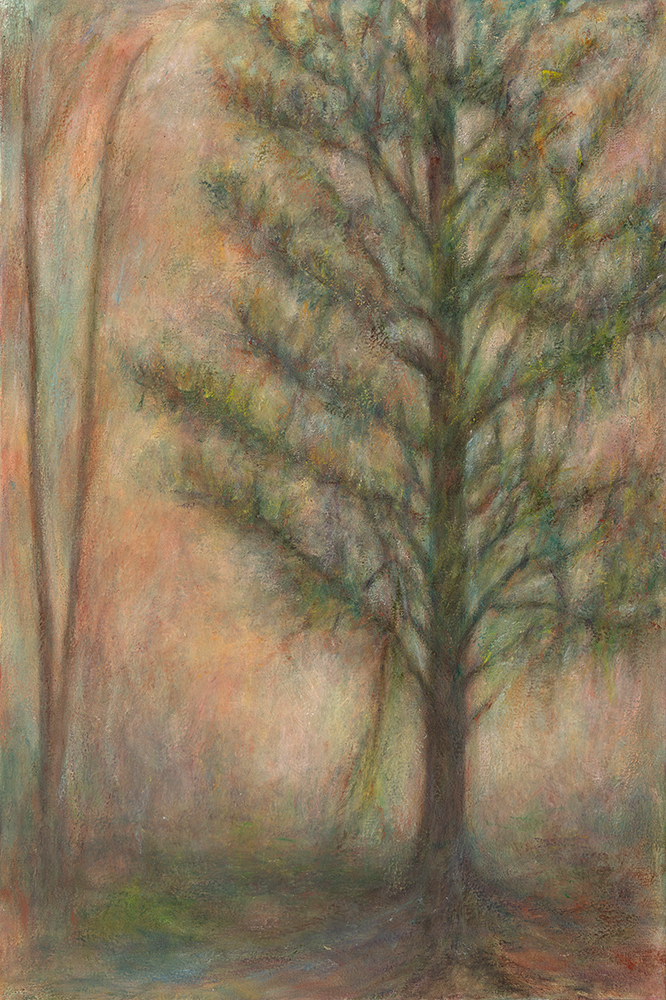Barbara Gamble at Sivarulrasa Gallery