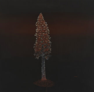Michael Pittman at Sivarulrasa Gallery