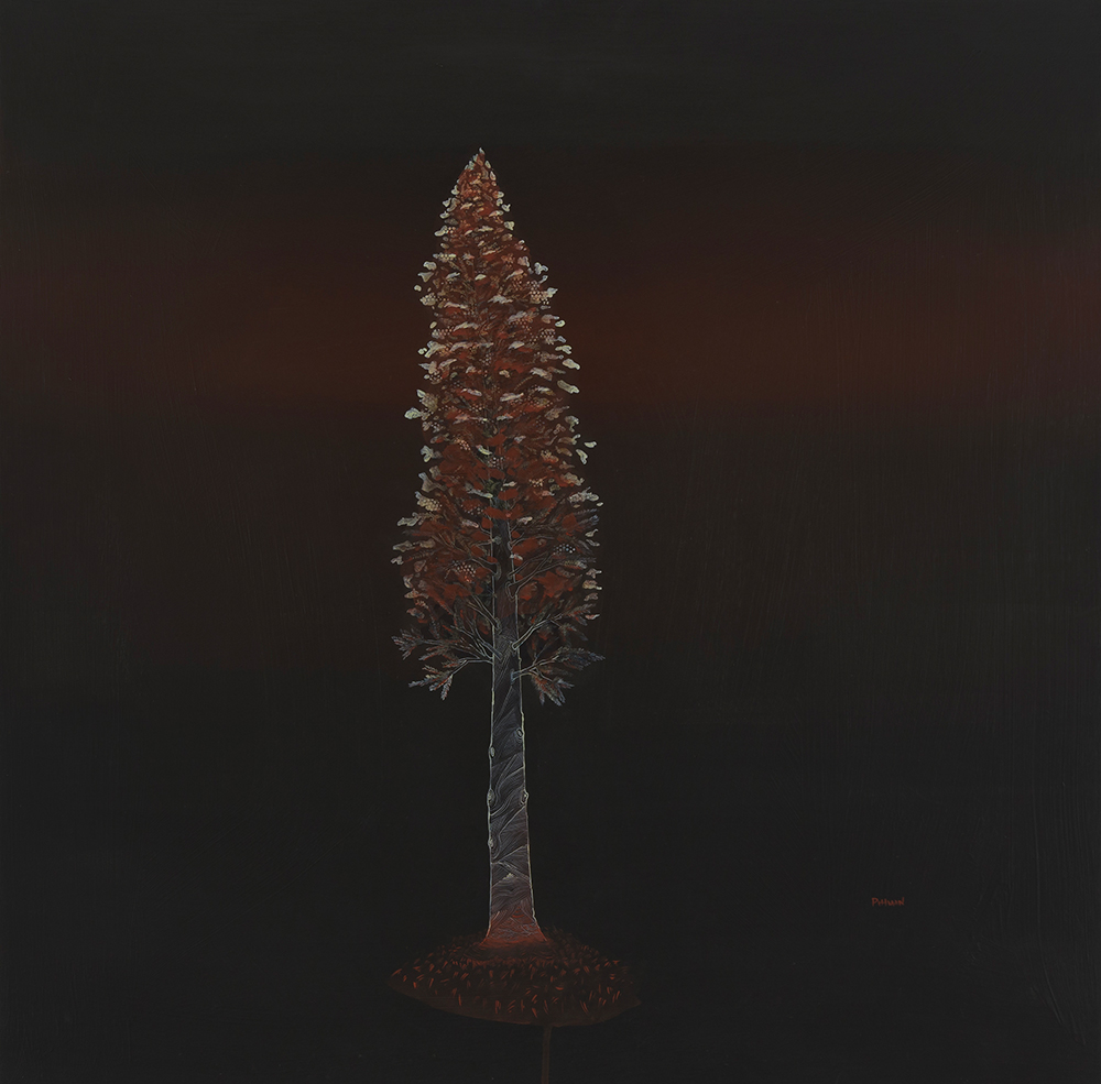Michael Pittman at Sivarulrasa Gallery