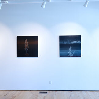 New Arrivals: Gallery I