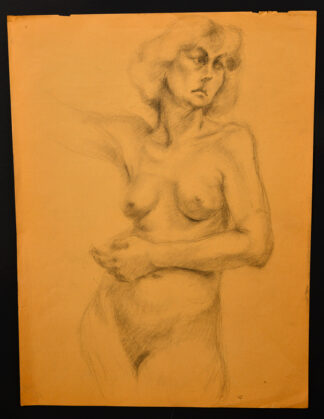 Noreen Young at Sivarulrasa Gallery