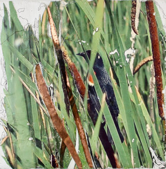 Elaine Carr at Sivarulrasa Gallery