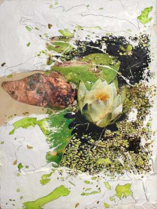Elaine Carr at Sivarulrasa Gallery