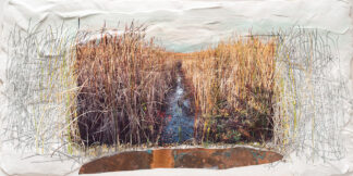 Elaine Carr at Sivarulrasa Gallery