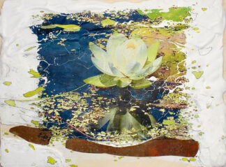 Elaine Carr at Sivarulrasa Gallery