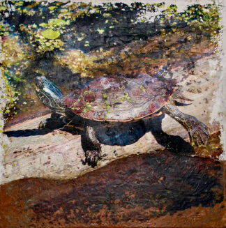 Elaine Carr at Sivarulrasa Gallery