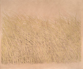 Elaine Carr at Sivarulrasa Gallery